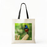 Superb Starling Bird Bag
