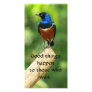 Superb Starling Bird  Quote Photo Card