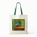 Superb Starling Bird Tote Bag