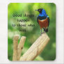 Superb Starling Mousepad