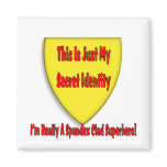 Superhero - This is Just My Secret Identity magnets
