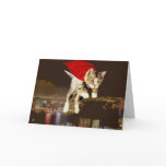 Superkitty!