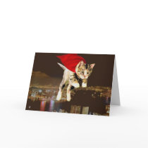 Superkitty!