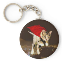 Superkitty!