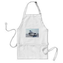 Supersonic Concorde Aprons