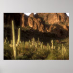 Superstition Mountain posters