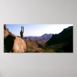Superstition Path posters