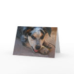 Support and Encouragement - Dog Lover Animal Humou cards