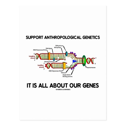 Support Anthropological Genetics About Our Genes Post Cards