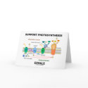 Support Photosynthesis Exhale (Environmental) cards