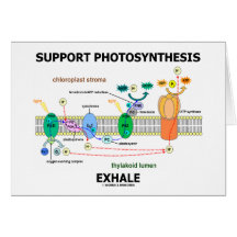 Support Photosynthesis Exhale (Environmental) Card