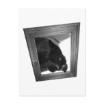 Support seniors postcards