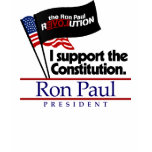 Support the Constitution Shirt
