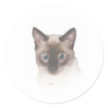 Sur Boo Siamese stickers