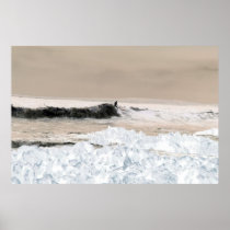 surf dude poster