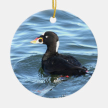 Surf Scoter Duck Christmas Tree Ornament