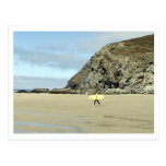 Surfer Postcard