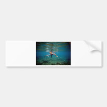 Surfer sitting on surfboard over coral reef bumper stickers