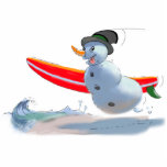sUrFeR sNoWmAn photo sculptures