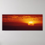 Surfer Sunset posters