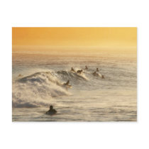 "Surfers, Rio de Janeiro" postcard