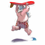 sUrFiN sAnTa photo sculptures