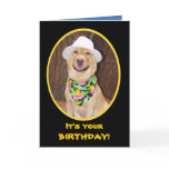 Surfing/Beach/Ocean Birthday cards