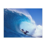 Surfing Dolphins postcards