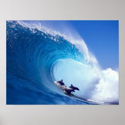 Surfing Dolphins Posters by Nekar_Xenos