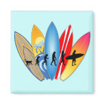 Surfing Evolution