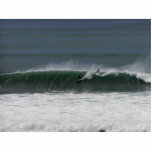 surfing photo sculptures