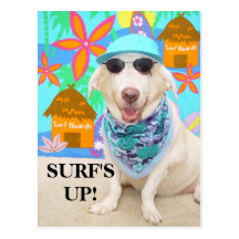 SURF'S UP! POST CARDS