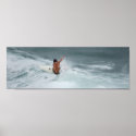Surf's Up! posters