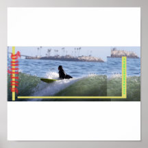 surfsie posters