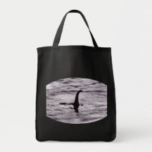 Surgeon's Photo Bag