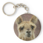 Suri Alpaca keychains