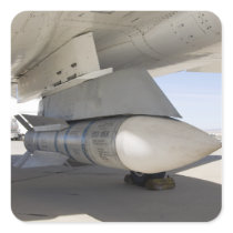 Surplus Navy Phoenix missiles stickers