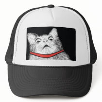 Surprised Cat Gasp Meme - Hat