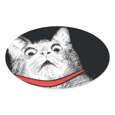 surprised_cat_gasp_meme_oval_stickers-p217700472065376165bahz5_400.jpg