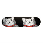 Surprised Cat Gasp Meme - Skateboard
