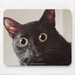 Surprised Kitty Funny Cat-lover's Mousepad