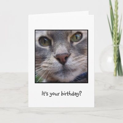 Surprized Cat, It's your birthday? Greeting Card | Zazz