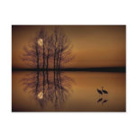 Surrealism Post Card postcards
