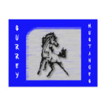 surrey_03, SURREY, MUSTANGES postcards