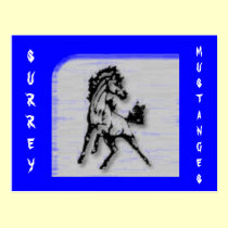 surrey_03, SURREY, MUSTANGES postcards