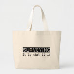 Surveying It Is Bags