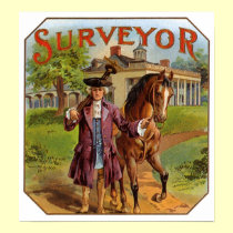 Surveyor posters