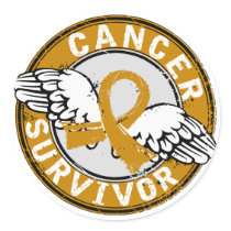 Survivor 14 Appendix Cancer