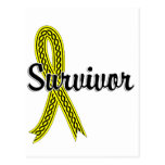 Survivor 17 Testicular Cancer Postcard