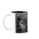 Survivor Picture Coffee Mug